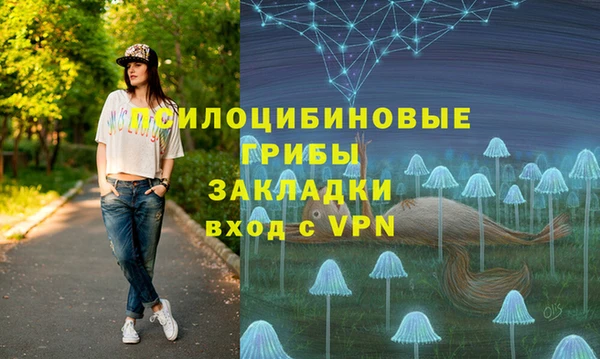 скорость Бородино
