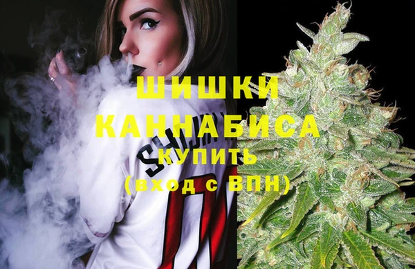скорость Бородино