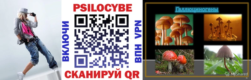Купить где  Воткинск  Галлюциногенные грибы мицелий 